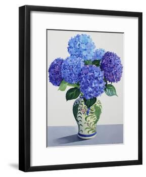 Blue Hydrangeas-Christopher Ryland-Framed Giclee Print