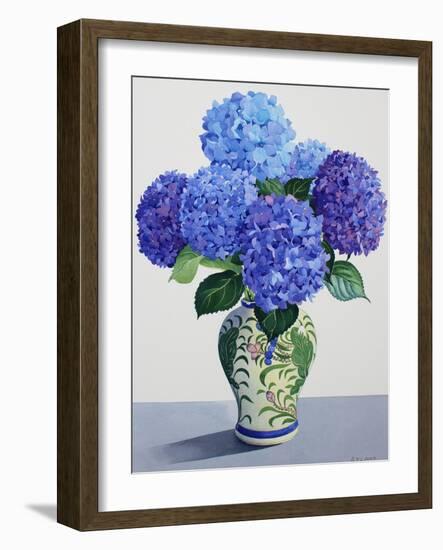 Blue Hydrangeas-Christopher Ryland-Framed Giclee Print