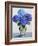 Blue Hydrangeas-Christopher Ryland-Framed Giclee Print