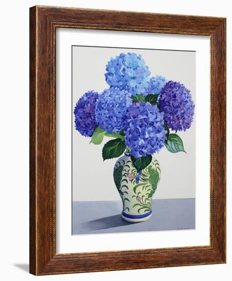 Blue Hydrangeas-Christopher Ryland-Framed Giclee Print