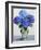 Blue Hydrangeas-Christopher Ryland-Framed Giclee Print