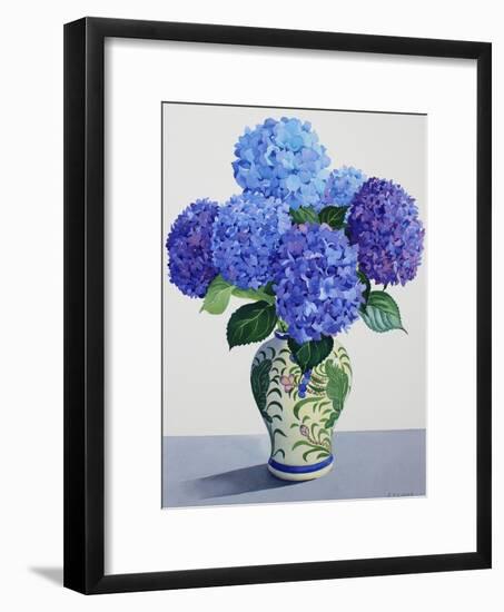 Blue Hydrangeas-Christopher Ryland-Framed Giclee Print