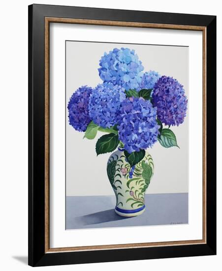 Blue Hydrangeas-Christopher Ryland-Framed Giclee Print