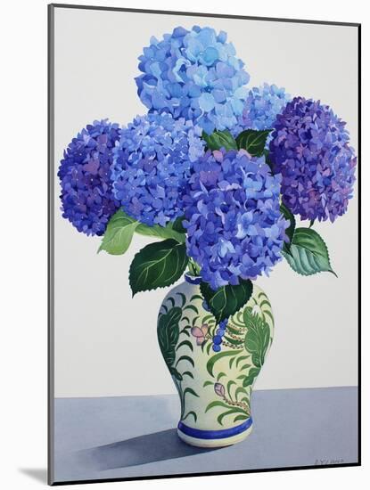 Blue Hydrangeas-Christopher Ryland-Mounted Giclee Print