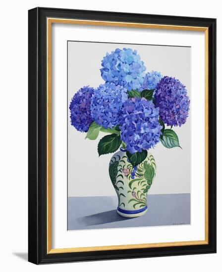 Blue Hydrangeas-Christopher Ryland-Framed Giclee Print