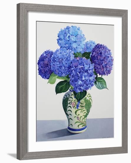 Blue Hydrangeas-Christopher Ryland-Framed Giclee Print