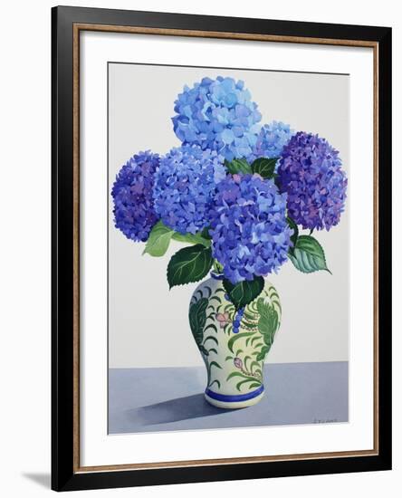 Blue Hydrangeas-Christopher Ryland-Framed Giclee Print