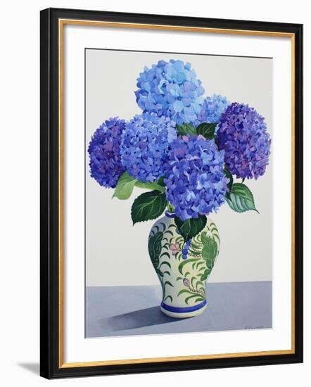 Blue Hydrangeas-Christopher Ryland-Framed Giclee Print