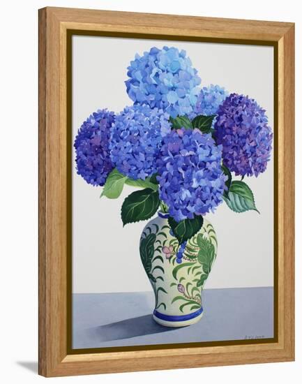 Blue Hydrangeas-Christopher Ryland-Framed Premier Image Canvas