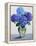 Blue Hydrangeas-Christopher Ryland-Framed Premier Image Canvas