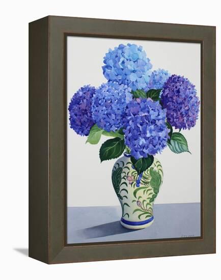 Blue Hydrangeas-Christopher Ryland-Framed Premier Image Canvas