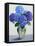 Blue Hydrangeas-Christopher Ryland-Framed Premier Image Canvas