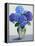 Blue Hydrangeas-Christopher Ryland-Framed Premier Image Canvas