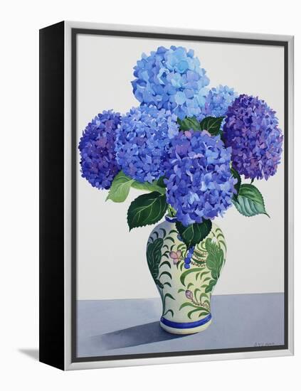 Blue Hydrangeas-Christopher Ryland-Framed Premier Image Canvas