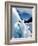 Blue Ice Cave, Franz Josef Glacier, South Island, New Zealand-David Wall-Framed Photographic Print