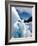 Blue Ice Cave, Franz Josef Glacier, South Island, New Zealand-David Wall-Framed Photographic Print