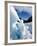 Blue Ice Cave, Franz Josef Glacier, South Island, New Zealand-David Wall-Framed Photographic Print