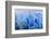 Blue Ice, Grey Glacier, Torres Del Paine National Park, Patagonia, Chile, South America-Eleanor-Framed Photographic Print