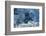 Blue Ice, Perito Moreno Glacier, Los Glaciares National Park, Argentina.-Adam Jones-Framed Photographic Print