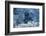 Blue Ice, Perito Moreno Glacier, Los Glaciares National Park, Argentina.-Adam Jones-Framed Photographic Print