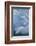 Blue Ice, Perito Moreno Glacier, Los Glaciares National Park, Argentina.-Adam Jones-Framed Photographic Print