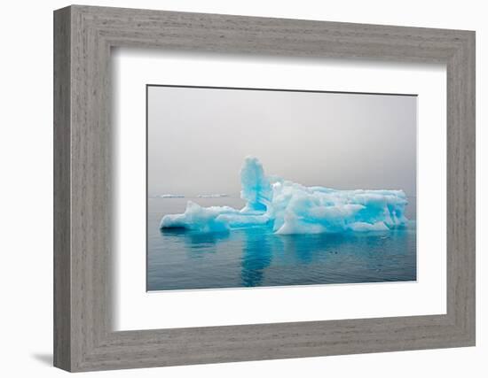 Blue iceberg in the fjord of Narsarsuaq, Greenland-Keren Su-Framed Photographic Print