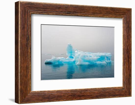 Blue iceberg in the fjord of Narsarsuaq, Greenland-Keren Su-Framed Photographic Print