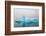 Blue iceberg in the fjord of Narsarsuaq, Greenland-Keren Su-Framed Photographic Print