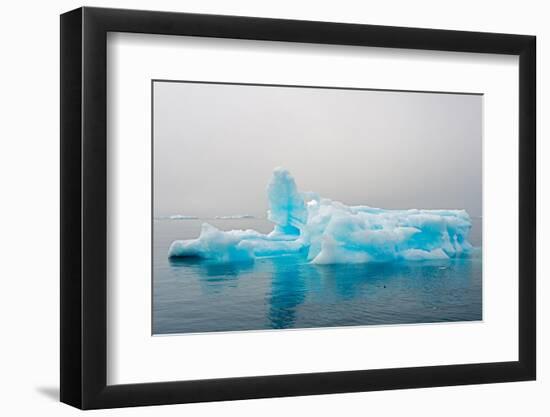 Blue iceberg in the fjord of Narsarsuaq, Greenland-Keren Su-Framed Photographic Print