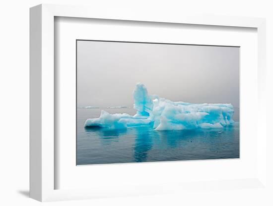 Blue iceberg in the fjord of Narsarsuaq, Greenland-Keren Su-Framed Photographic Print