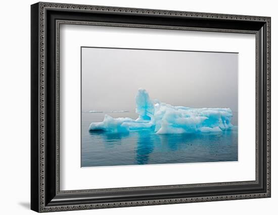 Blue iceberg in the fjord of Narsarsuaq, Greenland-Keren Su-Framed Photographic Print