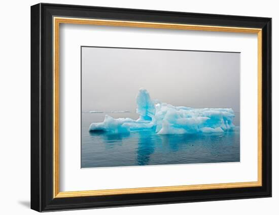 Blue iceberg in the fjord of Narsarsuaq, Greenland-Keren Su-Framed Photographic Print