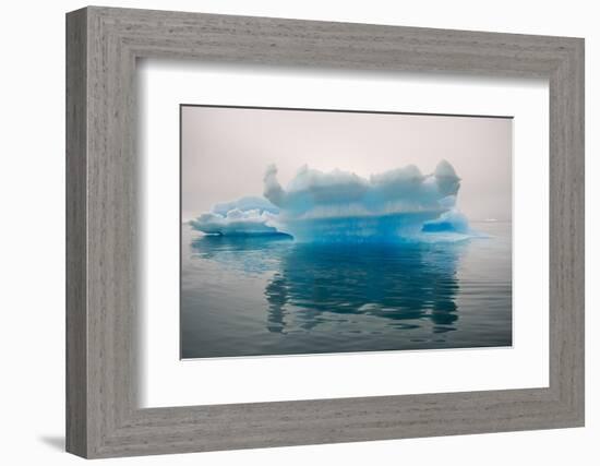 Blue iceberg in the fjord of Narsarsuaq, Greenland-Keren Su-Framed Photographic Print