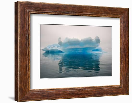 Blue iceberg in the fjord of Narsarsuaq, Greenland-Keren Su-Framed Photographic Print