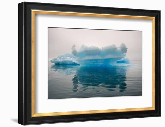 Blue iceberg in the fjord of Narsarsuaq, Greenland-Keren Su-Framed Photographic Print