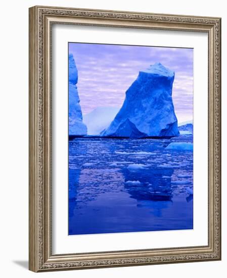 Blue Icebergs, Antarctica-Joe Restuccia III-Framed Photographic Print