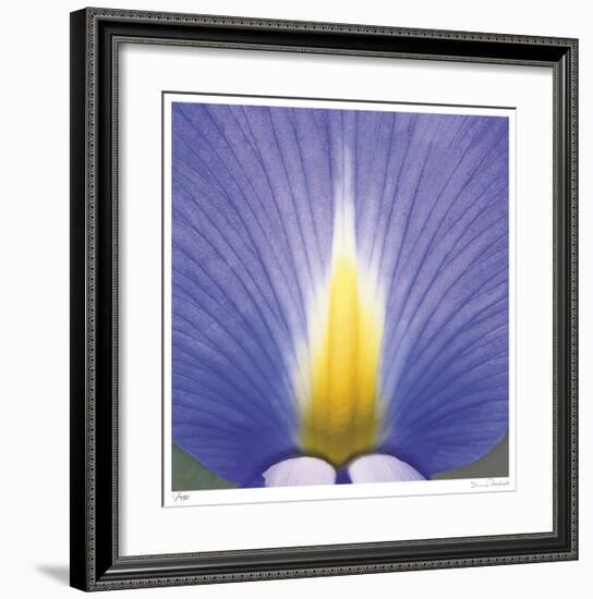 Blue Iris Abstract No 2-Shams Rasheed-Framed Giclee Print