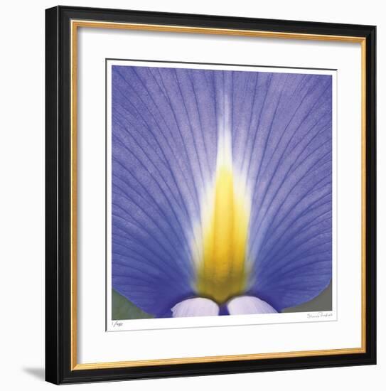 Blue Iris Abstract No 2-Shams Rasheed-Framed Giclee Print