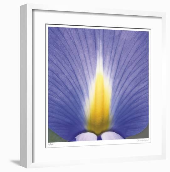 Blue Iris Abstract No 2-Shams Rasheed-Framed Giclee Print