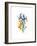 Blue Iris and Daffodil, 2002-Nell Hill-Framed Giclee Print