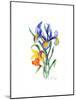 Blue Iris and Daffodil, 2002-Nell Hill-Mounted Giclee Print