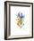 Blue Iris and Daffodil, 2002-Nell Hill-Framed Giclee Print