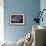 Blue Iris Blooms-Jai Johnson-Framed Giclee Print displayed on a wall