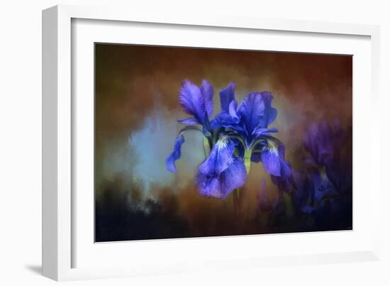 Blue Iris Blooms-Jai Johnson-Framed Giclee Print