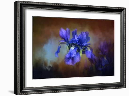 Blue Iris Blooms-Jai Johnson-Framed Giclee Print