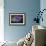 Blue Iris Blooms-Jai Johnson-Framed Giclee Print displayed on a wall