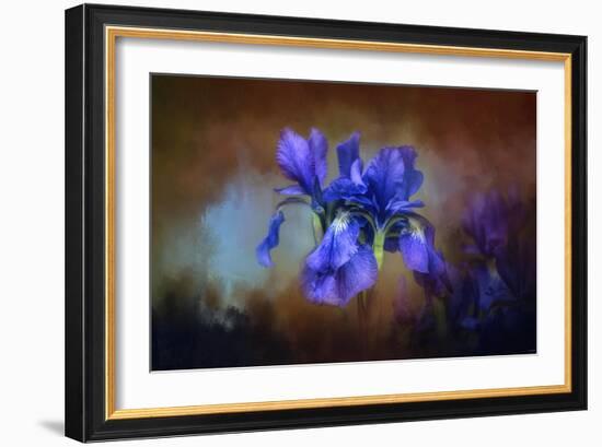 Blue Iris Blooms-Jai Johnson-Framed Giclee Print