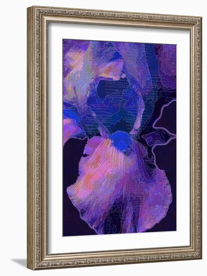 Blue Iris-Scott J. Davis-Framed Giclee Print