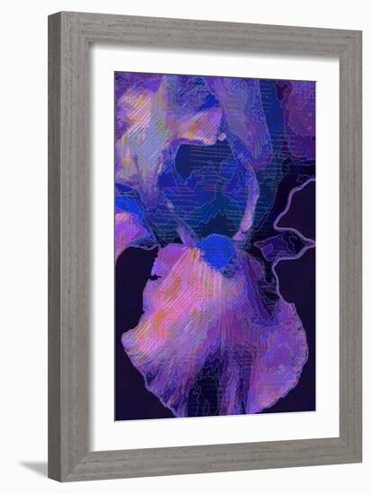 Blue Iris-Scott J. Davis-Framed Giclee Print