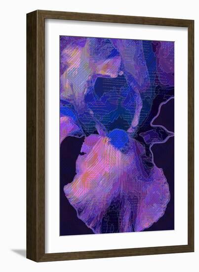 Blue Iris-Scott J. Davis-Framed Giclee Print